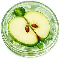 Apfelstammzellen (Malus Domestica) in Elesse Cream