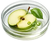 Apfelstammzellen (Malus Domestica) in Elesse Cream