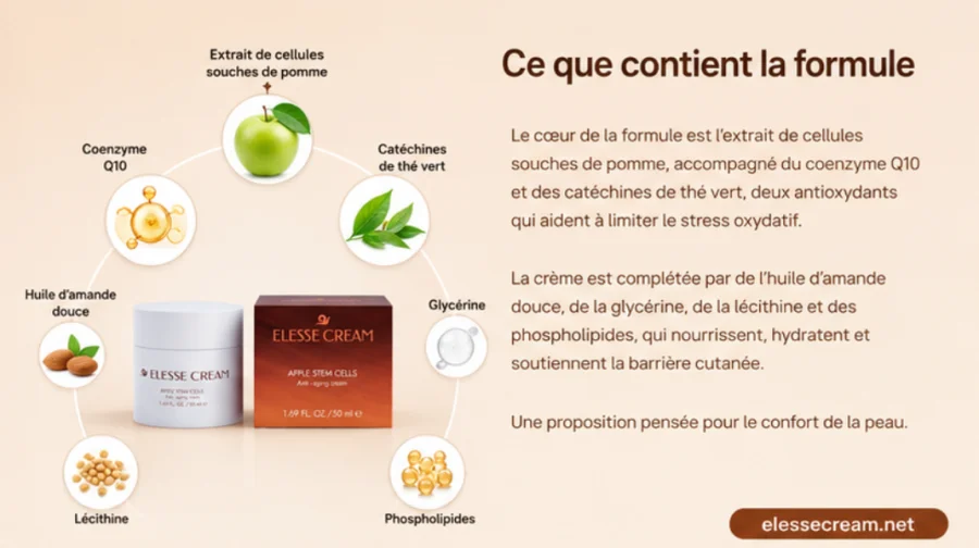 Elesse Cream — células madre de manzana Malus Domestica
