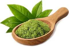 Elesse Cream — catequinas de té verde
