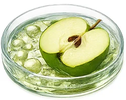 Jablečné kmenové buňky (Malus Domestica) v {{OFFER_NAME}}
