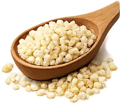 Lecithin in Elesse Cream