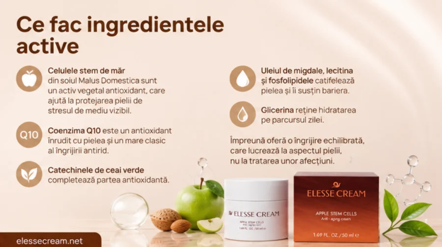 Wirkstoffe von Elesse Cream im Überblick
